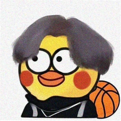阳光小葵